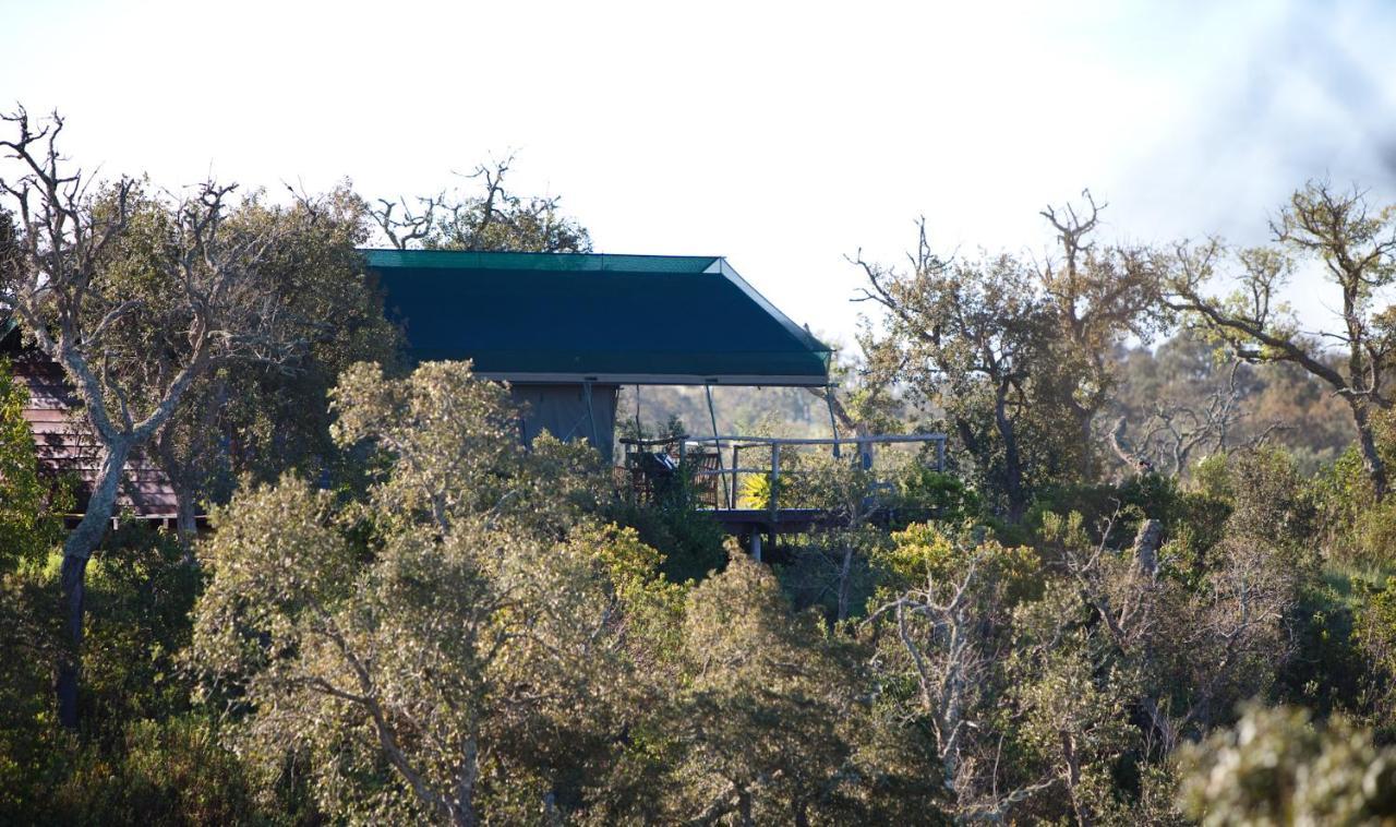 Eco Glamping Portugal Nature Lodge São Luís Exterior foto